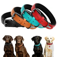 real leather dog collar custom padded dog id collars dog accessories for small medium large dogs pitbull bulldog