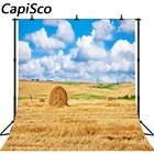 Capisco сельская ферма поле Пшеница Сено тюки облака голубое небо фотографии фоны для фотостудии Виниловые пользовательские фоны реквизит