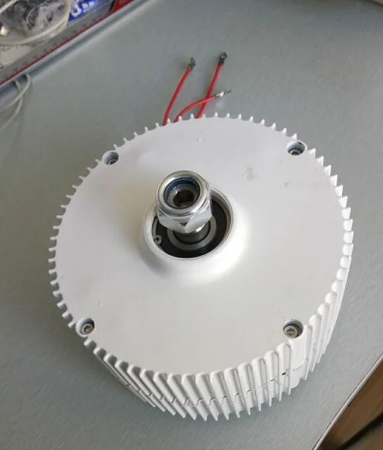 Хорошие новости! Купите 300 Вт PMG получить контроллер бесплатно 12В/24В опционально |