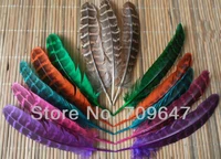 feathersplumas 200pcslot 12 15cm mixed dyed beautiful ringneck hen pheasant wings feathersringneck pheasant feathers