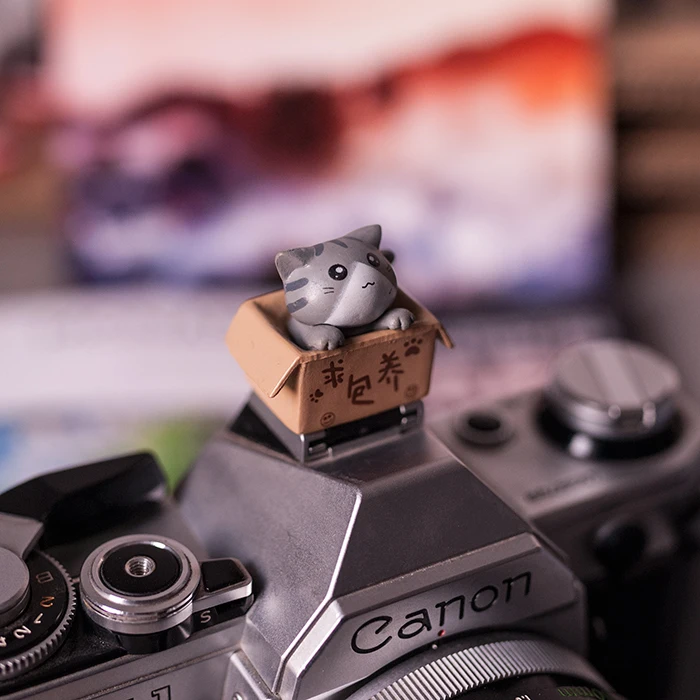 Новый фонарик Камера Горячий башмак Крышка для горячего башмака canon EOS Rebel 750D