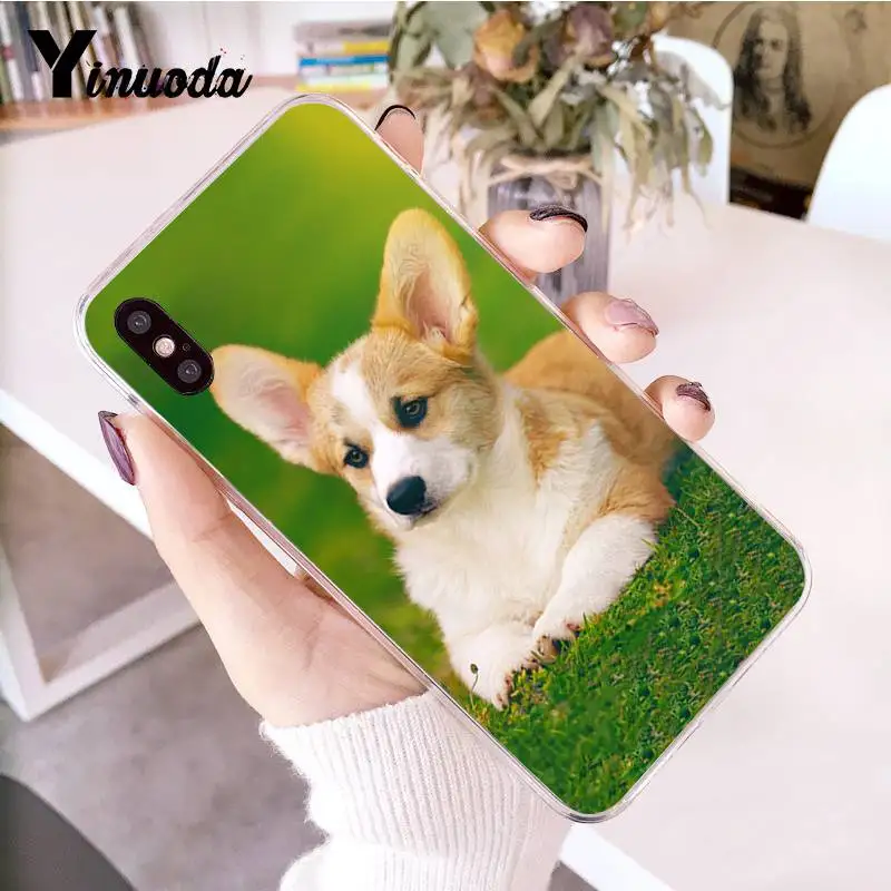 6 Yinuoda чехол для iphone 7 лучший друг животное собака корги Мопс Прозрачный чехол для телефона iphone 8 7 6 6S Plus X 5 5S SE XR XS XSMAX - Цвет: 6