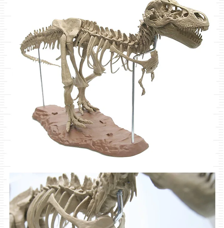 Моделирование 4D собранная модель большой тираннозавр рекс Fossil животная модель Diy обучающие игрушки для детей динозавр модель