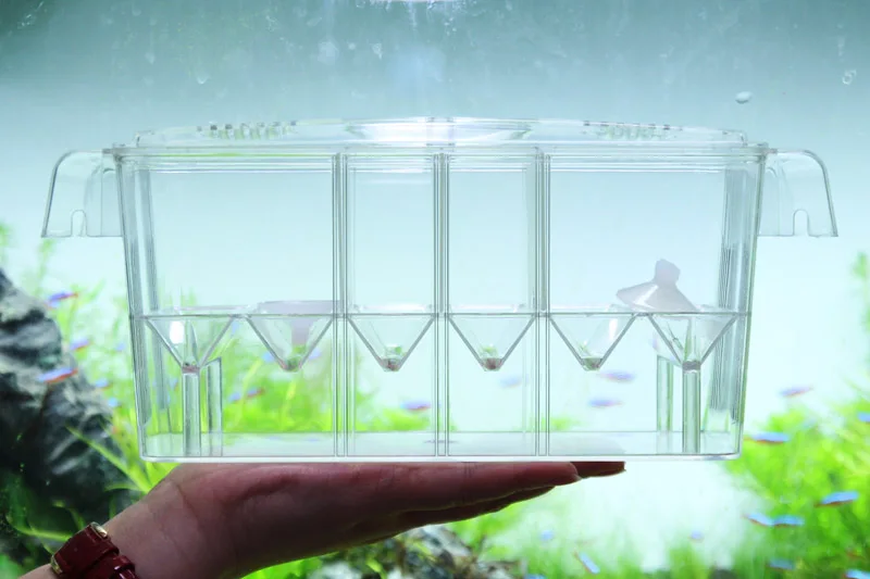 4-комнатный люк подвесной аквариум акриловый детский для разделения мелких рыб