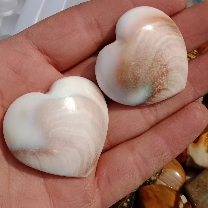 DHXYZB 2pcs Natural Sun Shell stone Fossil crystal Love heart shape Massage Quartz stones and mineral Reiki Healing gift | Дом и сад