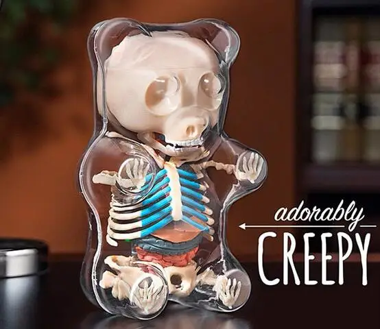 4D мастер медведь cub dioscopy bone model бесплатная доставка|Медицинская наука| |