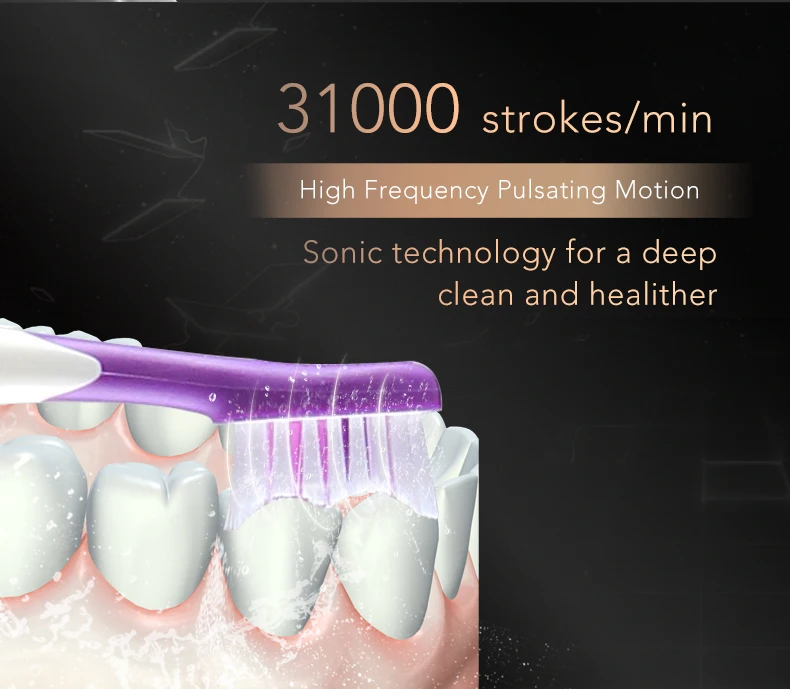 Seago электрическая зубная щетка для взрослых escova de dente Глубокая чистка зубов с 3 головками для ухода за зубами Черная пятница лучшая щетка 986