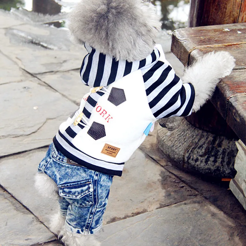 Одежда для собак йоркширских терьеров и чихуа-Хуа одежда домашних животных осень