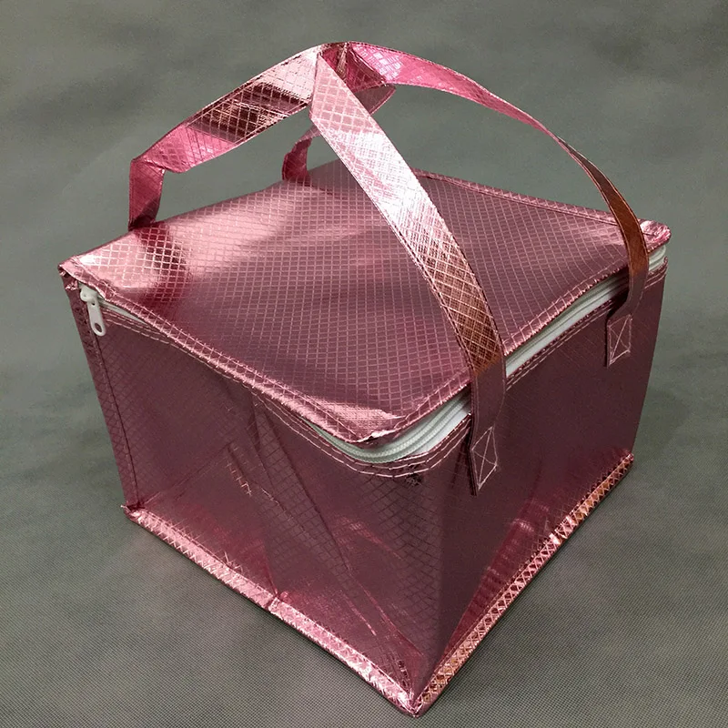 Изолированные сумки-кулеры для пикника коробка пиццы Ланч-бокс изолированные