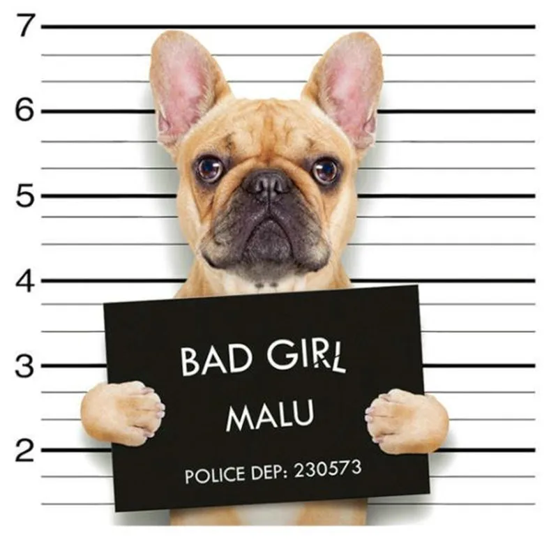 Модная ПВХ нашивка deal with it одежда с принтом BAD dog|Заплатки| |