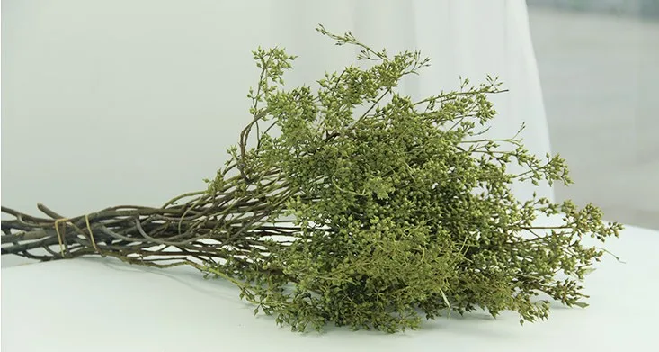 green Просо фрукты Натуральные сушеные цветы гостиная стол набор фотографии diy Цветочные букеты - Цвет: green
