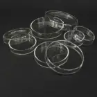 Чаша Петри 150180200 мм из боросиликатного стекла с крышками для лабораторных бактериальных дрожжей