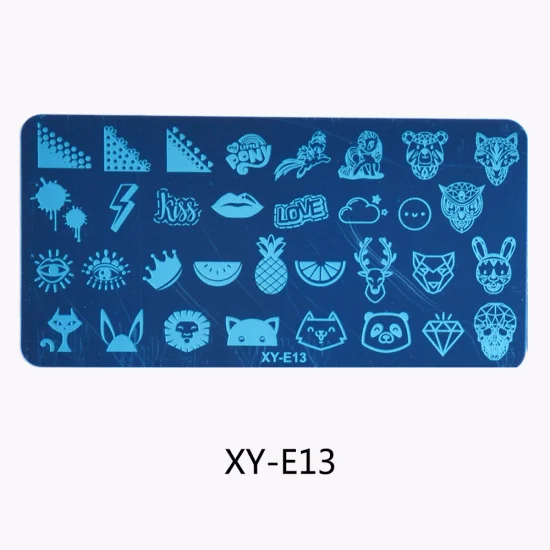 XY-E13 STZ 16 видов конструкций для штамповки ногтей шаблон пластина кружева цветок фрукты животное кактус штамп пластина Маникюр печать ногтей инструменты XYE01-16 - Цвет: XY-E13