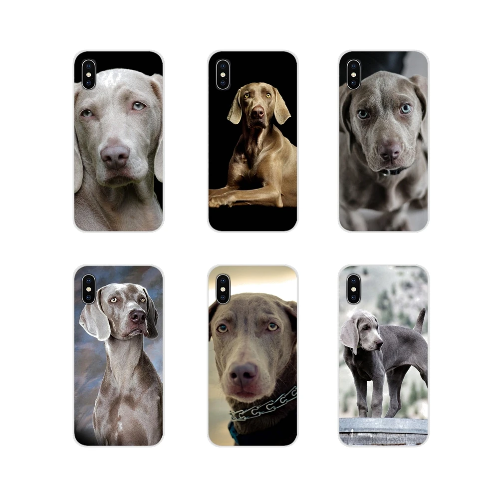 Для Samsung Galaxy S3 S4 S5 Mini S6 S7 Edge S8 S9 S10 Lite Plus Note 4 5 8 9 Weimaraner аксессуары для собак чехлы