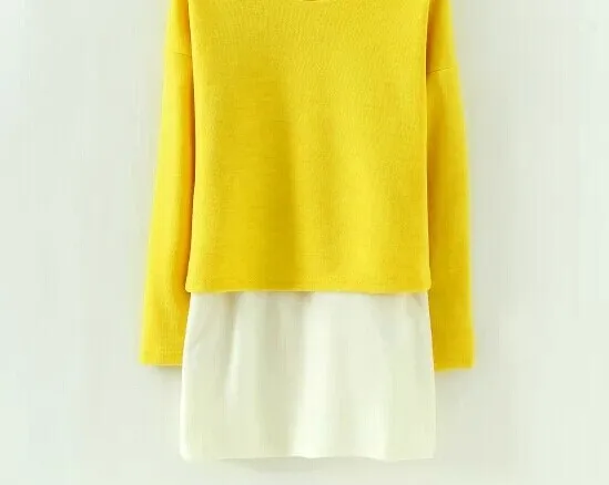 winter 2014 sweater za women Europe and America fake two knitted round neck shirt famous brand 3043 | Женская одежда