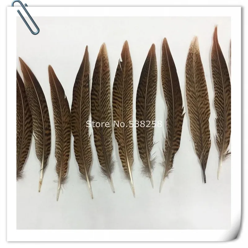 

Wholesale 100 Pcs/Lot 6 size can choose Natural Golden Pheasant Tail Feathers DIY jewelry Decorations Pheasant Feathers plume