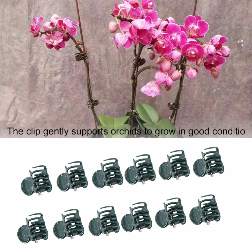 100 шт. орхидеи зажимы растения орхидеи опорные зажимы Садовый цветок лоза зажимы для поддержки стебли лозы стебли нетоксичные экологически чистые