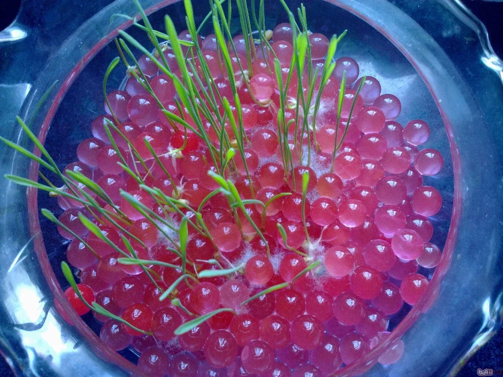 100 шт жемчужные Кристальные бусинки в форме почвы волшебные желейные шарики для