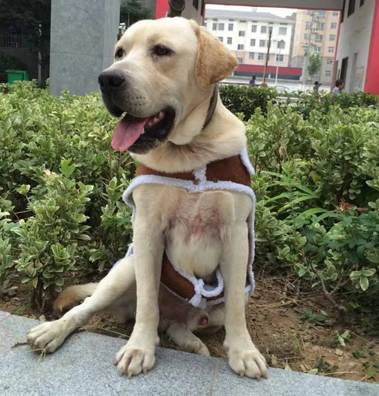 Жилет для больших собак Роскошная Одежда питомцев из оленьей кожи пальто