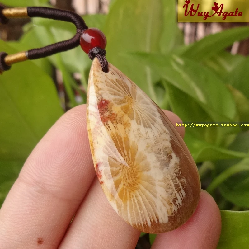 Тайвань природные органические gem коралловые ископаемых дейзи нефрита кулон /