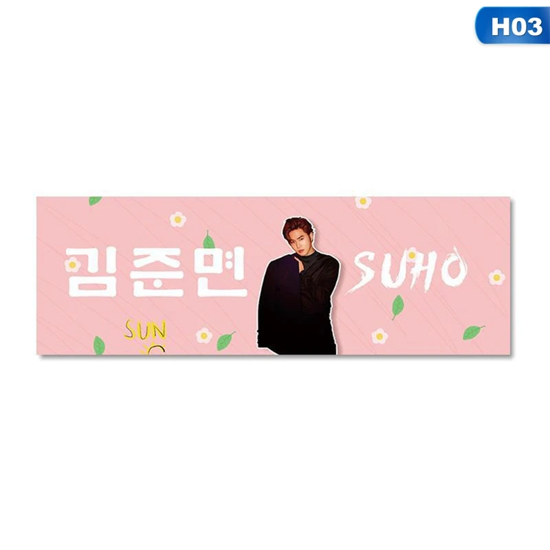 OSS6428H03 1 Piece Kpop EXO BAEKHYUN CHANYEOL SEHUN Concert Support Hand Banner Fabric Hang Up Poster For Fans Collection Gift - Цвет: OSS6428H03