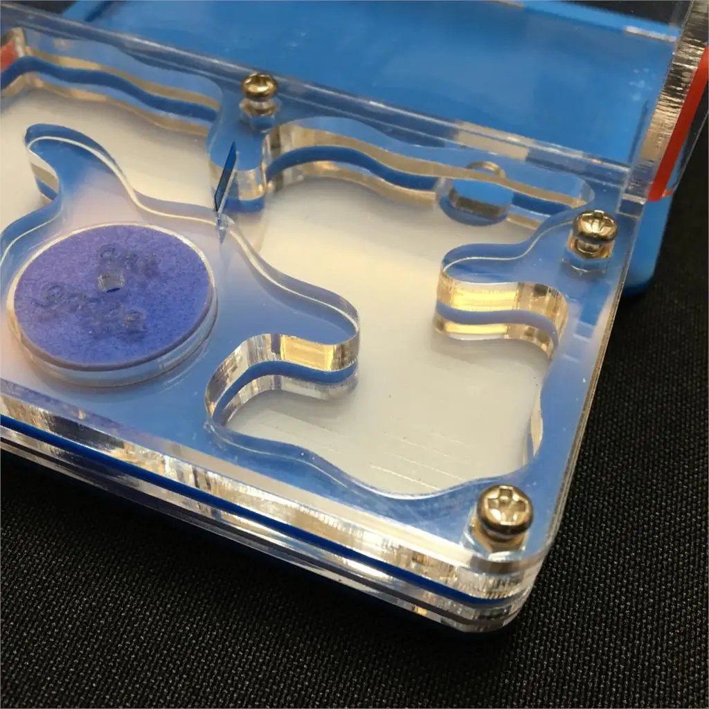 Муравьиная серия размер M плоская конструкция с зоной для кормления Муравьиное