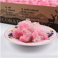 N Pink 500 г натуральный олень мох консервированный сушеный цветок Stamen для Сказочный Сад Гирлянда Свадебная вечеринка Декор 24 цвета на выбор - Цвет: N Pink