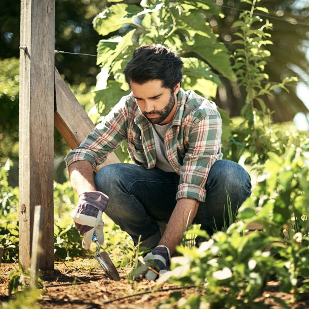 PROSTORMER 3 шт. набор алюминиевых садовых инструментов| |