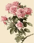 Картина по номерам на холсте розовая роза