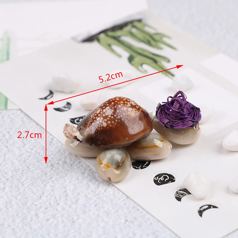 2 шт. морские ракушки искусство милая мультяшная маленькая черепаха кавайная