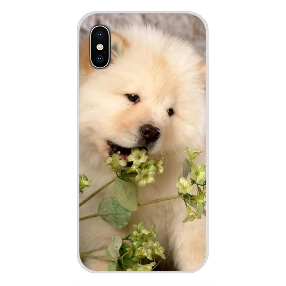 Силиконовый чехол для телефона Chow dog puppy animal Poster Nokia 2 3 5 6 8 9 230 3310 1 7 Plus LG Q6 X