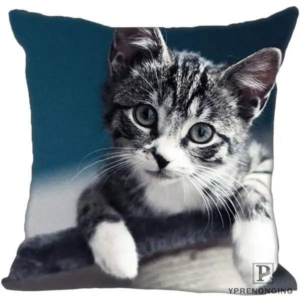 Square Pillowcases Custom Decorative Pillowcase Cats Kitten Rain Square Zippered Pillow Cover(One Side)80527-21-03 - Цвет: Square Pillowcases