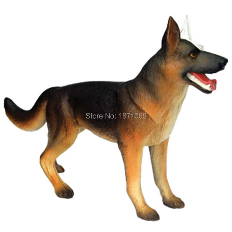 4D Магическая собака анатомическая модель игрушки скелет кости объемная научная