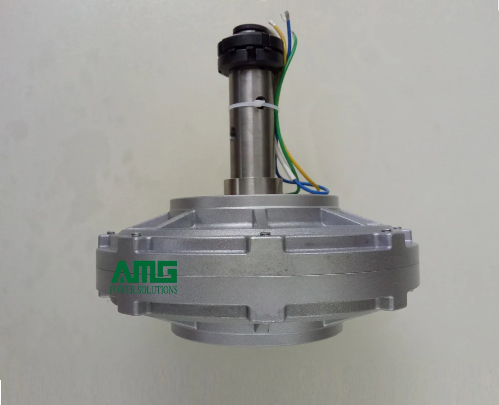 Генератор переменного тока с постоянным магнитом 100 Вт 250 об./мин.|alternator generator|permanent