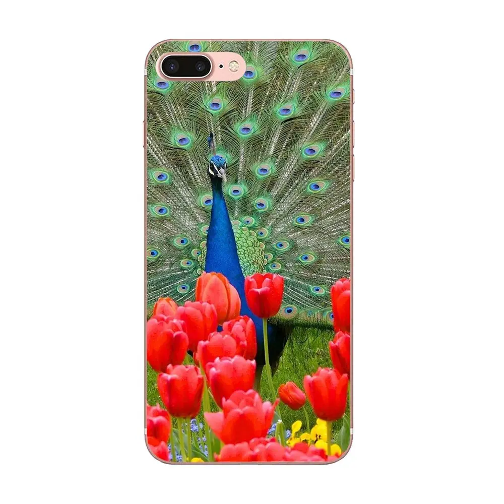 Мягкий чехол из ТПУ для Huawei Honor 4C 5A 5C 5X 6 6C 6A 6X 7 7X 8 9 V8 V10 Y3II Y5II Y6II G8 P7 Play Lite Pretty Peacock