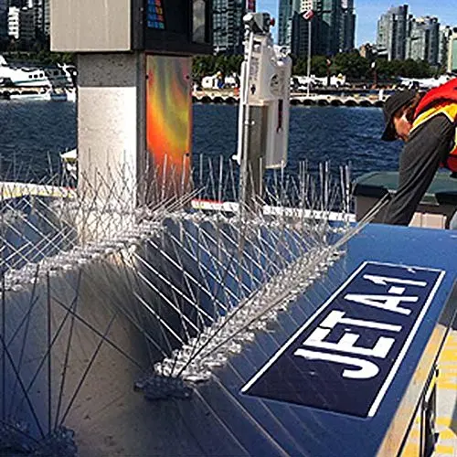 Премиум Спред птица шипы из нержавеющей стали для отпугивания голубей Анти Птица