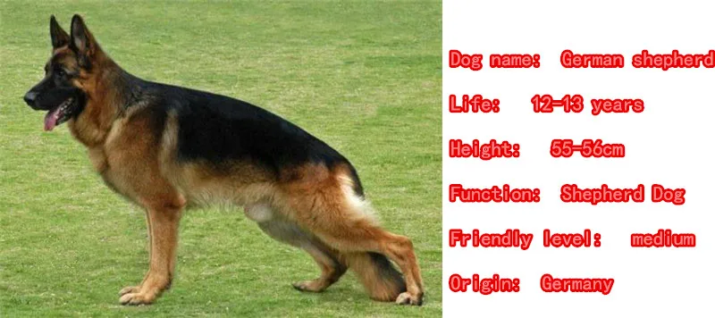 Милое ожерелье в виде немецкой овчарки кулон собаки посеребренные ювелирные