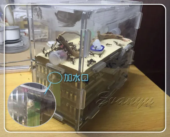 150 мм x 54 мм x 110 мм Большой DIY влага с области кормления Муравьиное гнездо, муравьиная ферма акрил, насекомые муравьиные гнезда вилла домашние муравьи