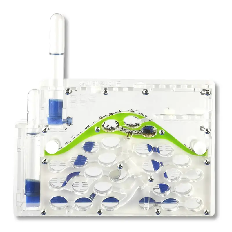 Муравьиная ферма муравьиная Муравьиное гнездо домашние муравьи | Дом и сад