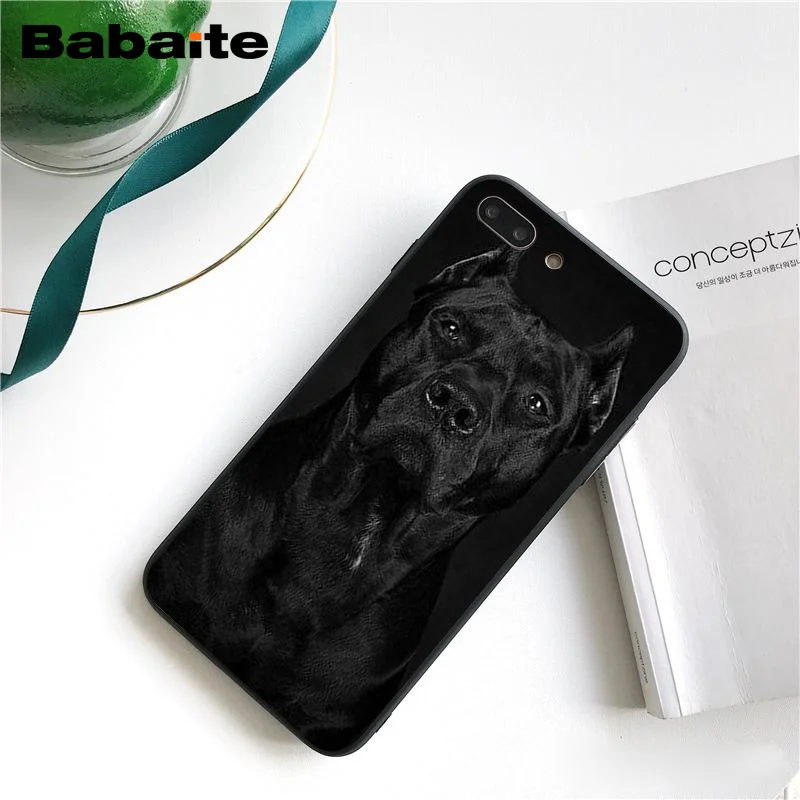 Питбуль прекрасная собака защитный чехол для телефона Fundas iphone 12 11 Pro Max 8 7 6 6S Plus X XS