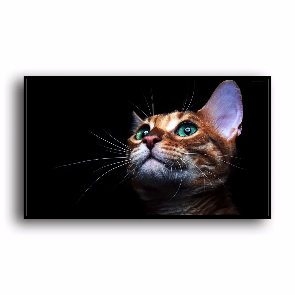 SR101087 Kitten Cute Natural Scenery Animal. HD Canvas Print Home decoration Living Room bedroom Wall pictures Art painting | Дом и сад