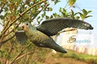 Летающая Птица ястреб для приманка в виде голубя садовое растение Scarer борьба с вредителями охотничья стрельба