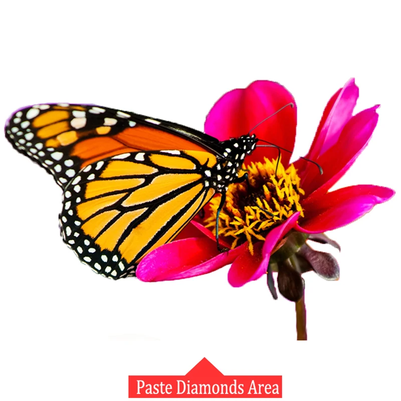 5D алмазная вышивка бабочки цветы Картина Красная картина бисером крестом
