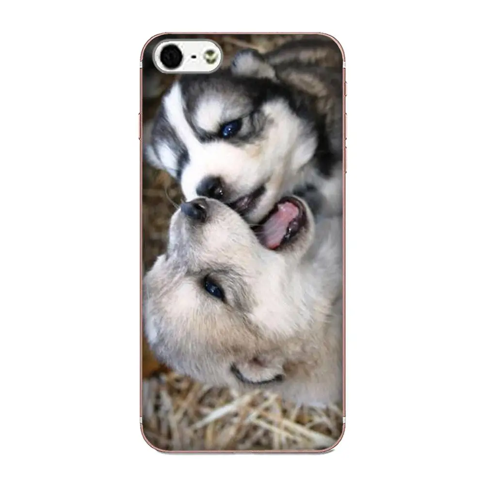 Я просто хочу пить вино и домашнее животное мой Хаски ТПУ Мода для Xiaomi Mi3 Mi4 Mi4C Mi4i Mi5