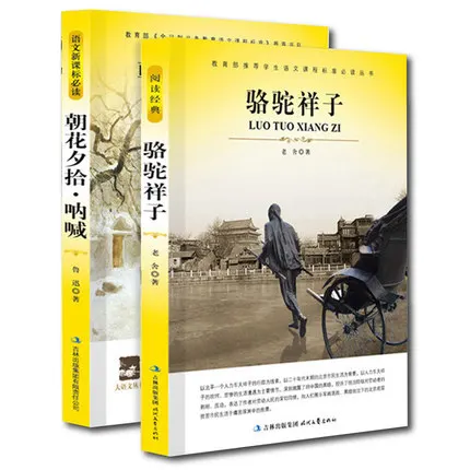 Китайские литературные книги для чтения 2 шт./компл. китайские классические