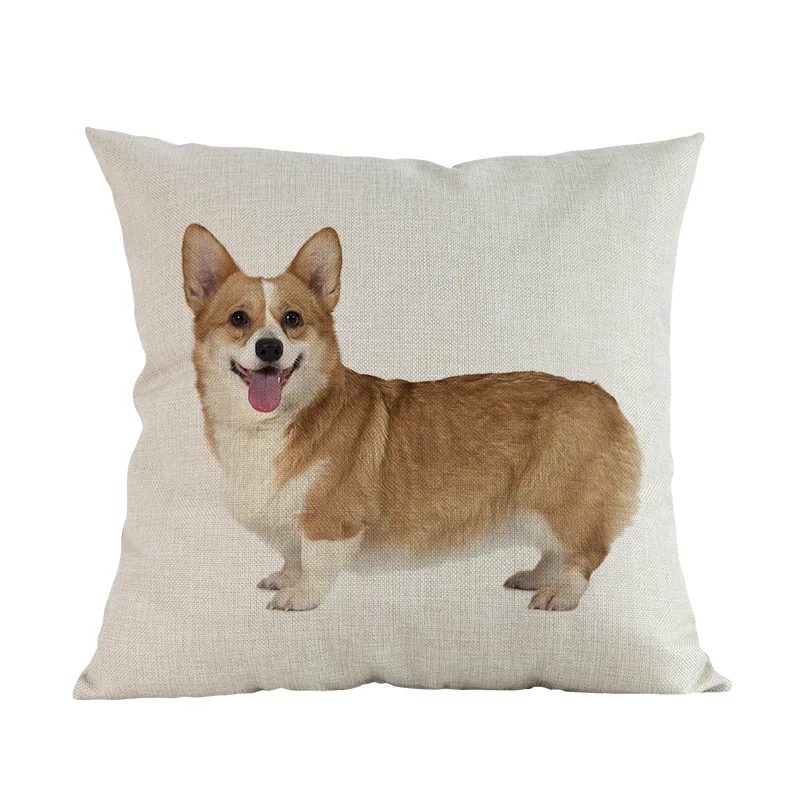 Милый щенок животных порода собак такса корги Померанская овчарка Лабрадор