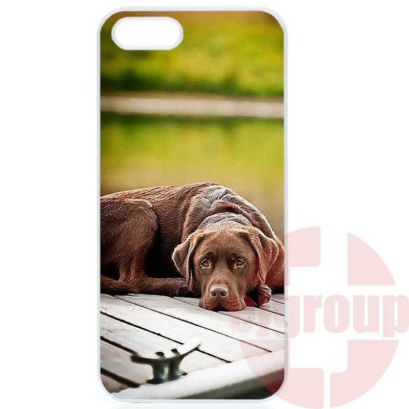 Шаблоны печати Для Apple iPhone 4 4S 5 5C SE 6 S 7 Плюс 4.7 5.5 iPod Touch охотничье ружье собака