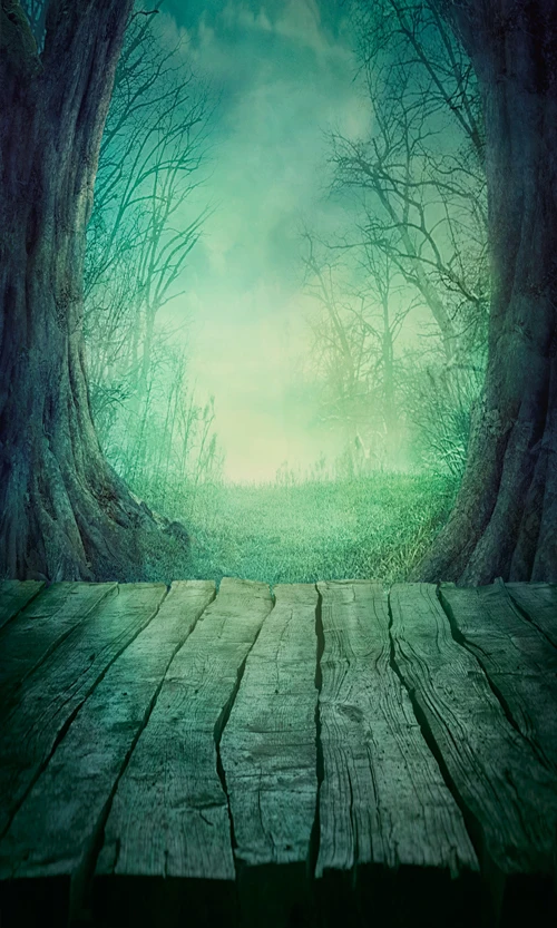 Фоны для фотосъемки с изображением леса Сказочный деревянный пол детской