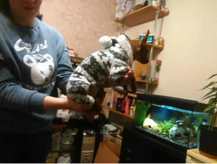 Лучшее качество снежинка сибирь зима теплая одежда для собак йоркшир чихуахуа