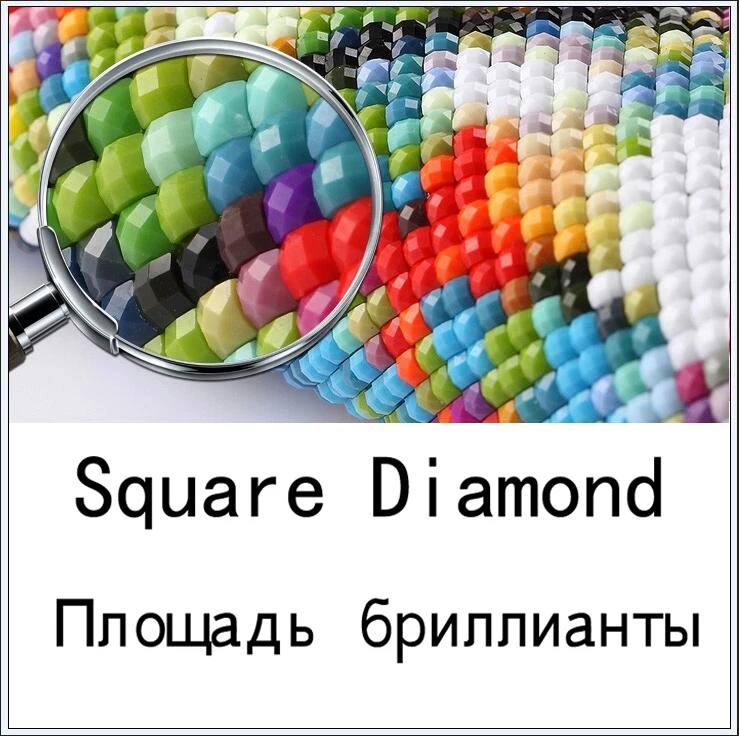 Square Diamond Алмазная вышивка RUBOS Red Poppy Daisy цветы DIY 5D алмазная вышивка крестиком Полный 3D круглые стразы украшение - Цвет: Square Diamond